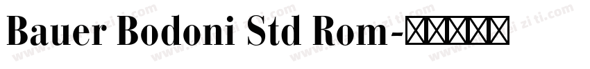 Bauer Bodoni Std Rom字体转换
